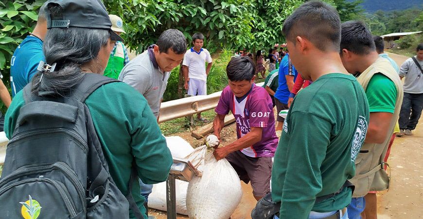 productores awajún de la comunidad nativa Kayants de Amazonas Perú concretaron venta de cacao húmedo