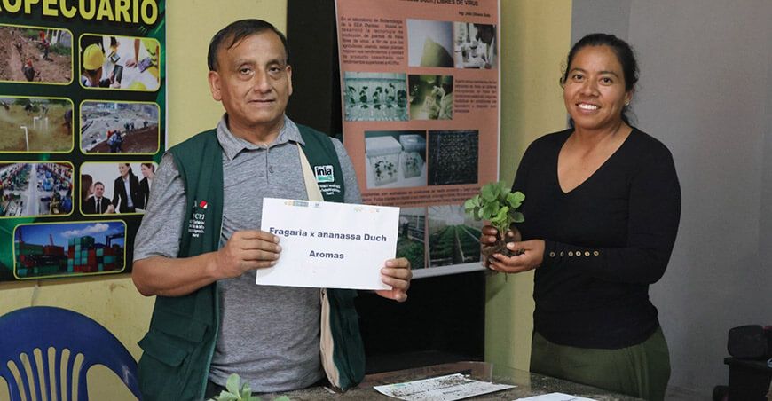productores de Huaral Lima mejoran sus prácticas agrícolas 