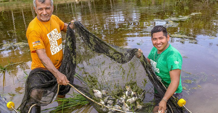 productores acuícolas piscicultores venta de pescado paco Huánuco Perú 
