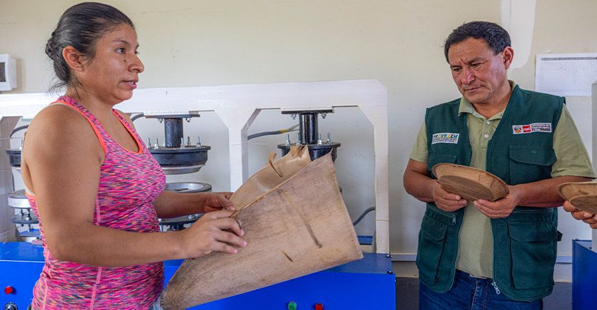 elaboración de platos biodegradables a base de hojas caulinares del bambú Provraem Perú