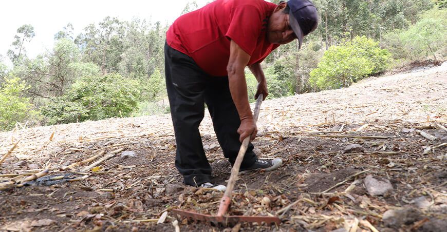 Rastrilleo en la campaña de control de la mosca de la fruta