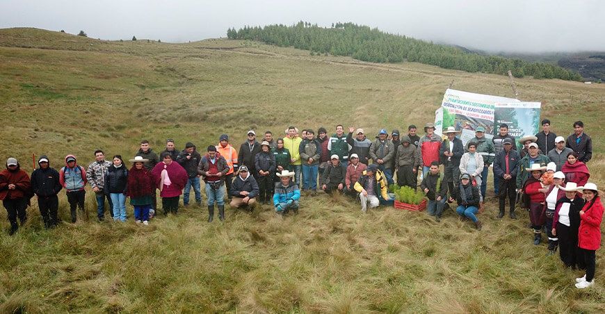 Serfor otorgó más de S/6 millones para impulsar la producción forestal en 929 hectáreas en Cajamarca Perú