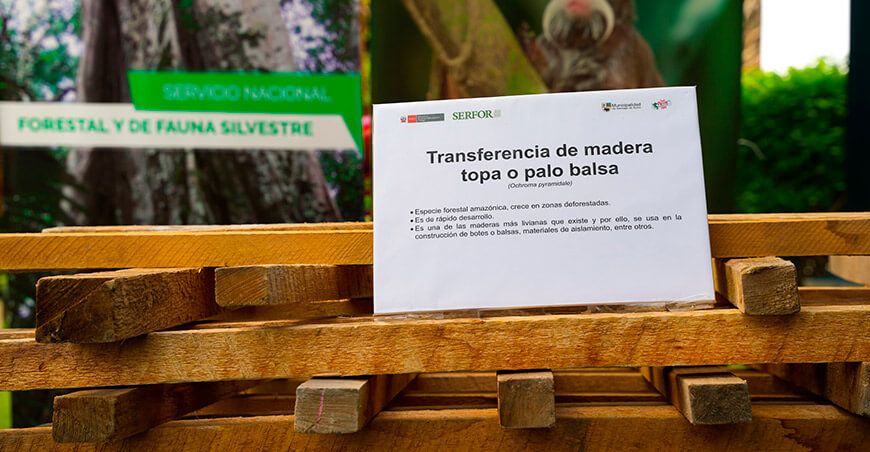 Serfor y Municipalidad de Surco se unen por la forestería y fauna silvestre urbana