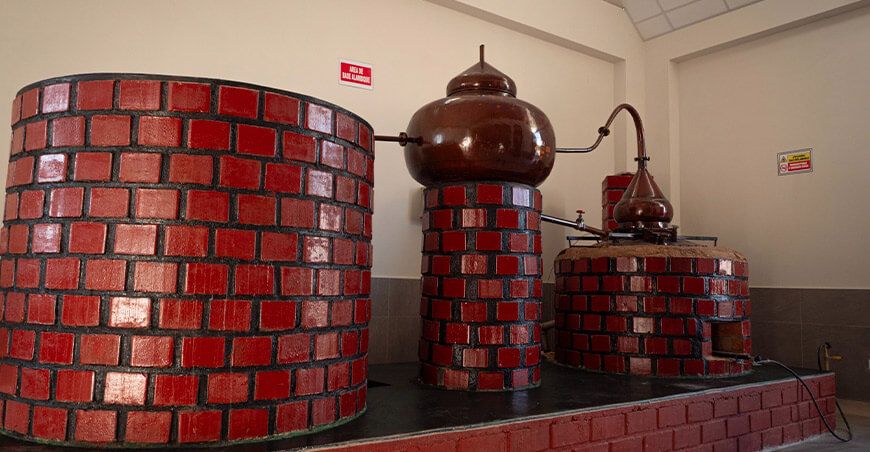 Moderna planta procesadora impulsará la producción de vino, pisco y licores de Tacna Perú