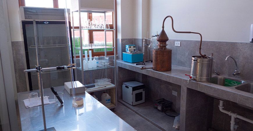 Moderna planta procesadora impulsará la producción de vino, pisco y licores de Tacna Perú