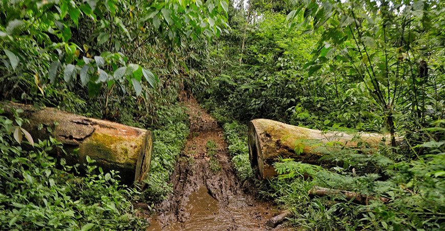 Mejoran caminos vecinales para beneficiar a las etnias asháninkas y kakinte de Río Tambo Devida Junín Perú