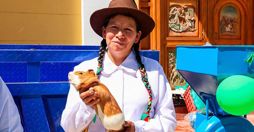 Agroideas entregó bienes para fortalecer crianza de cuyes de productoras asociadas en La Merced Ancash Perú