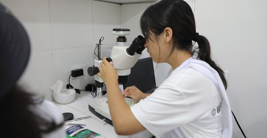 alumnos participan en proyectos ambientales desde clubes de ciencia y tecnología Concytec Perú