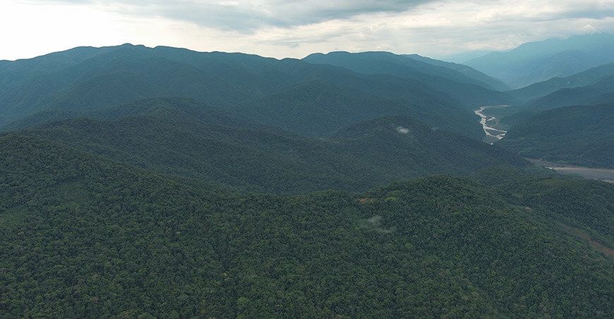 Lanzan campaña para establecer el Área de Conservación Regional Selva Verde–Santo Domingo Puno Perú