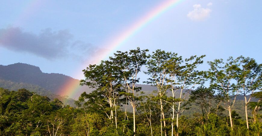 Inician afiliación de comunidades para acceder a incentivos por conservación de bosques