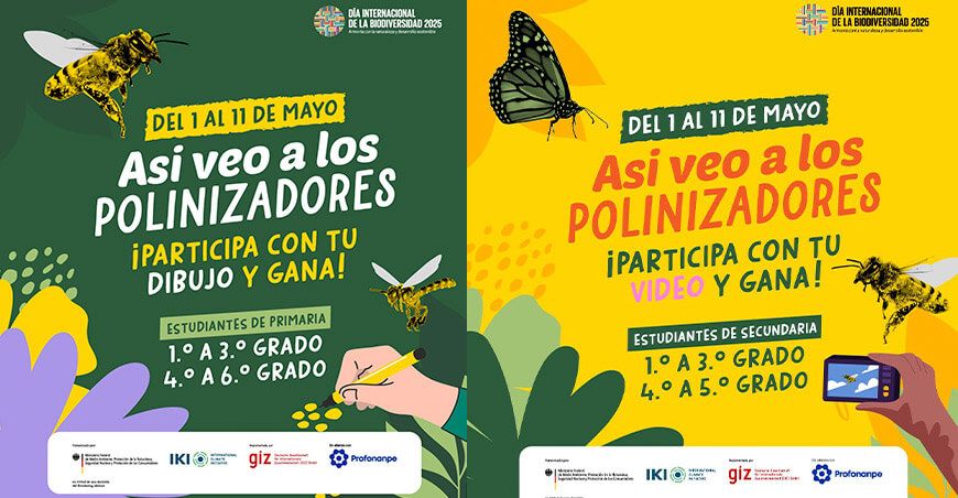 Participen en el concurso escolar nacional “Sin polinizadores no hay vida” Minam Perú