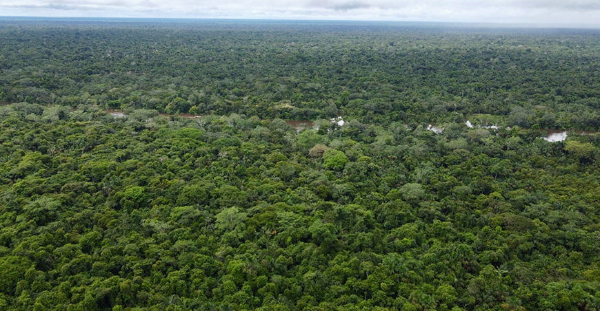 bosques amazónicos Perú