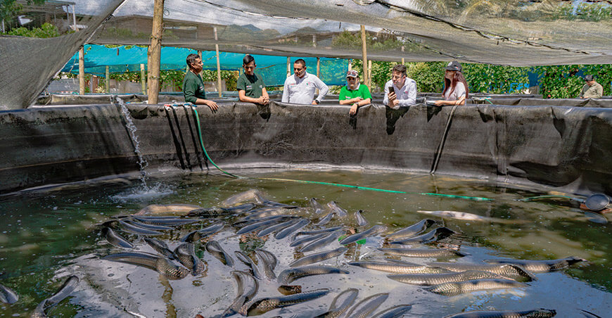 Devida replicará modelo del Alto Huallaga en actividades productivas de acuicultura y apicultura en Puno