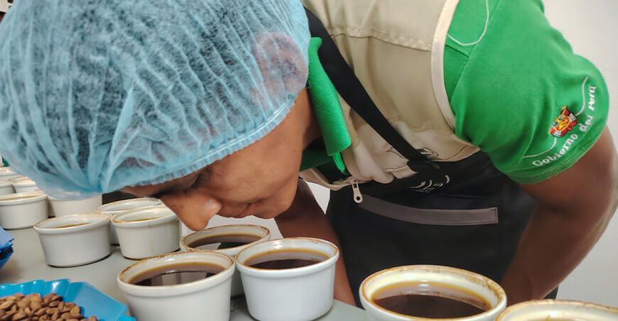 Inician análisis físico y sensorial para impulsar la ruta del café de calidad en el Vraem Devida Perú