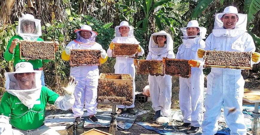 Devida producción apícola productores miel Vraem Perú