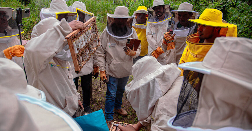 Devida replicará modelo del Alto Huallaga en actividades productivas de acuicultura y apicultura en Puno