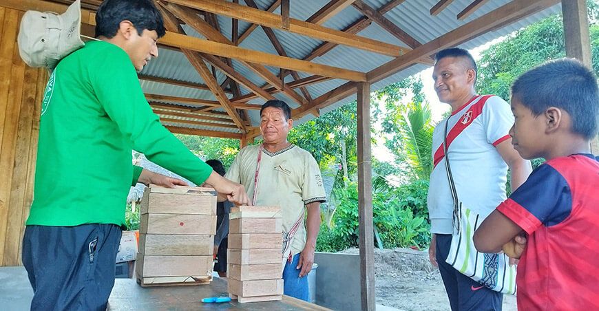 Familias asháninkas fortalecerán producción de miel ecológica de abejas nativas en Junín Devida Perú