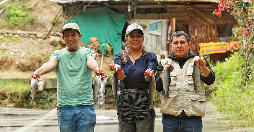 Familias de Churcampa y Tayacaja apuestan por la producción de trucha como alternativa de desarrollo Huancavelica Devida Perú