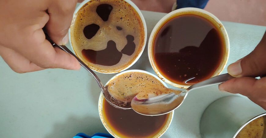 Inician análisis físico y sensorial para impulsar la ruta del café de calidad en el Vraem Devida Perú