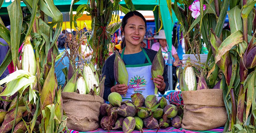 productora de maíz chocloDía Nacional del Maíz Morado, Maíz Choclo y Maíces para Cancha
