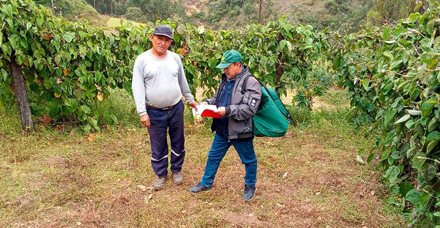 Realizan Encuesta Nacional de Intenciones de Siembra en La Libertad Perú