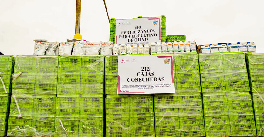 Asociación Agropecuaria Los Pinos del Sur Agro Pinsur productores aceitunas sevillanas Tacna recibió bienes del GORE Tacna