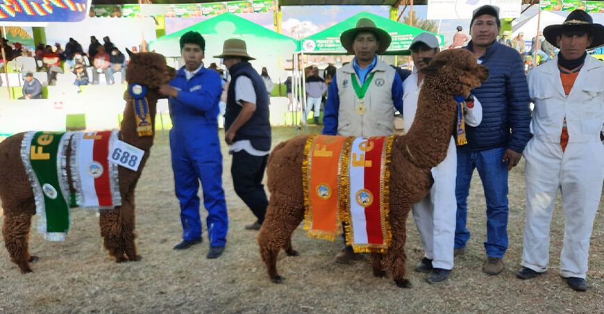 Fegasur Juliaca Puno