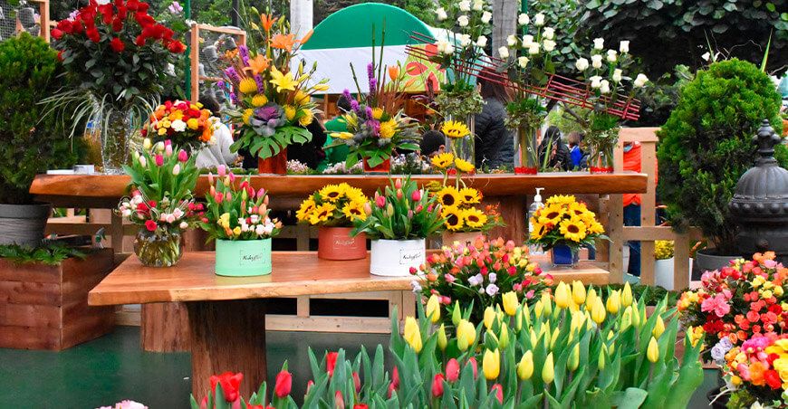 Perúflora feria nacional de flores y paisajismo