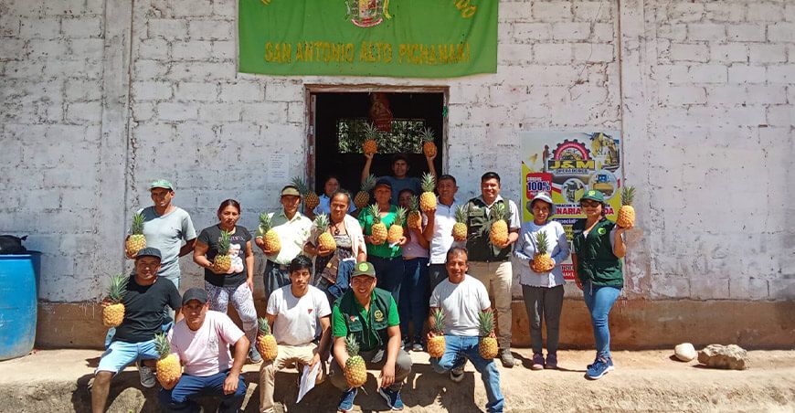 Festival de la Piña San Antonio Alto Pichanaqui Perené Chanchamayo Junín Perú