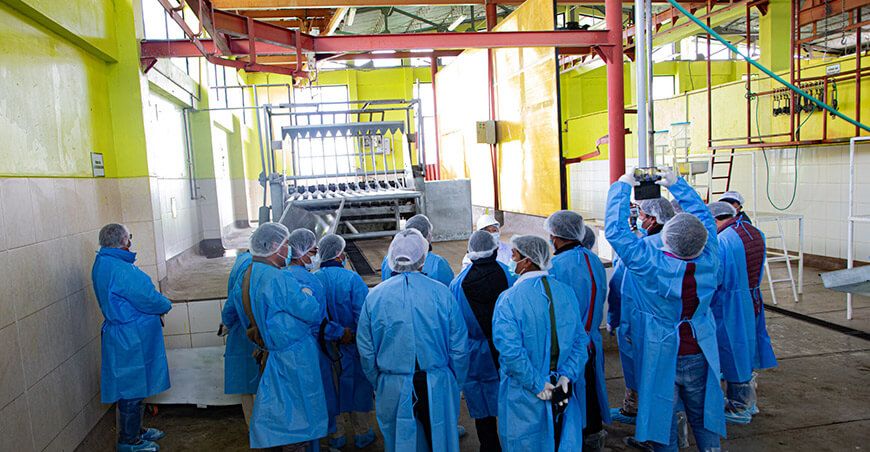 Ganaderos cusqueños fortalecen capacidades en buenas prácticas para la producción de carne