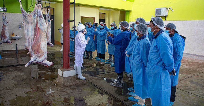 Ganaderos cusqueños fortalecen capacidades en buenas prácticas para la producción de carne