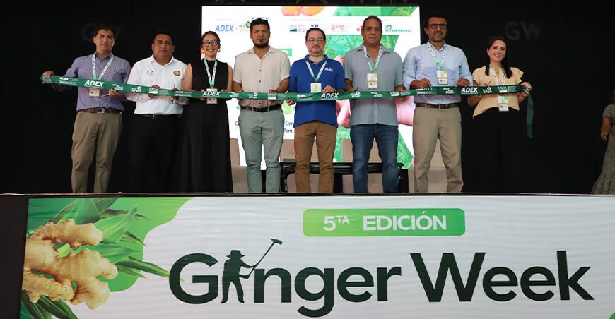 Ginger Week Perú
