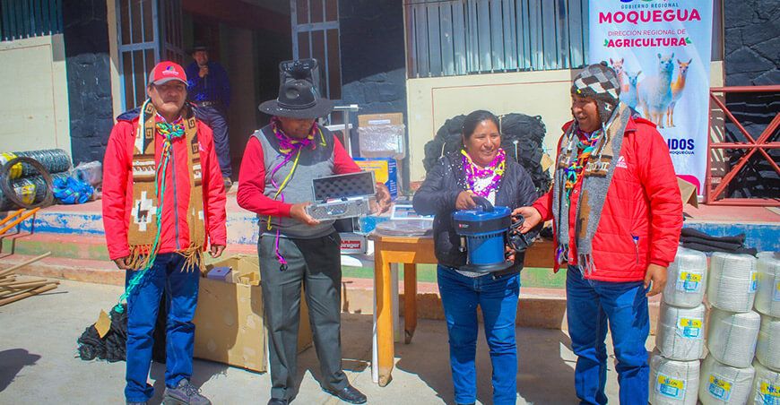 Entregaron módulos de captura y esquila de vicuñas a comunidad de Aruntaya Moquegua Perú