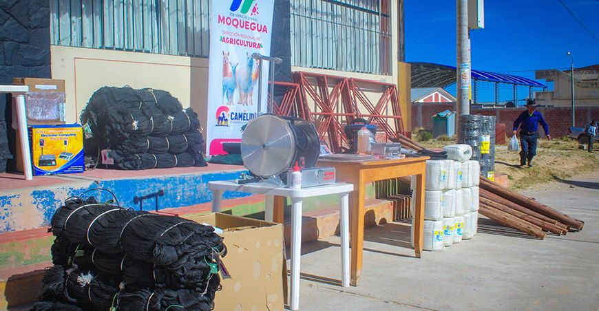 Entregaron módulos de captura y esquila de vicuñas a comunidad de Aruntaya Moquegua Perú
