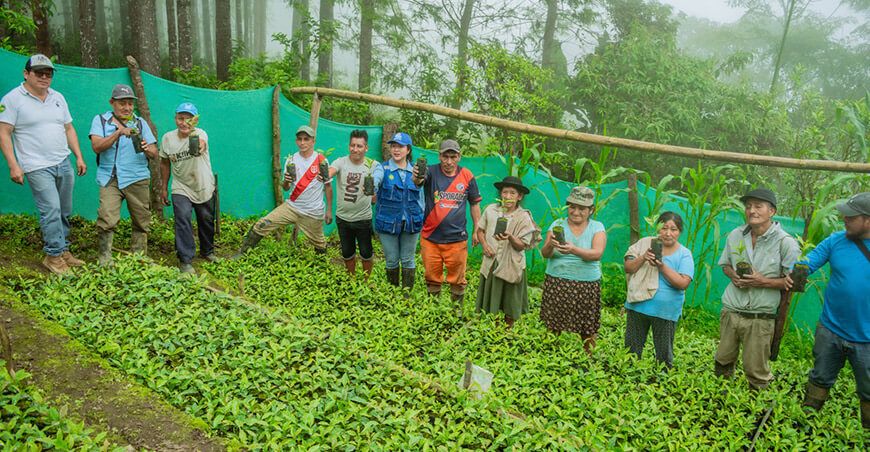 GORE Piura entregó plantones de café a productores 