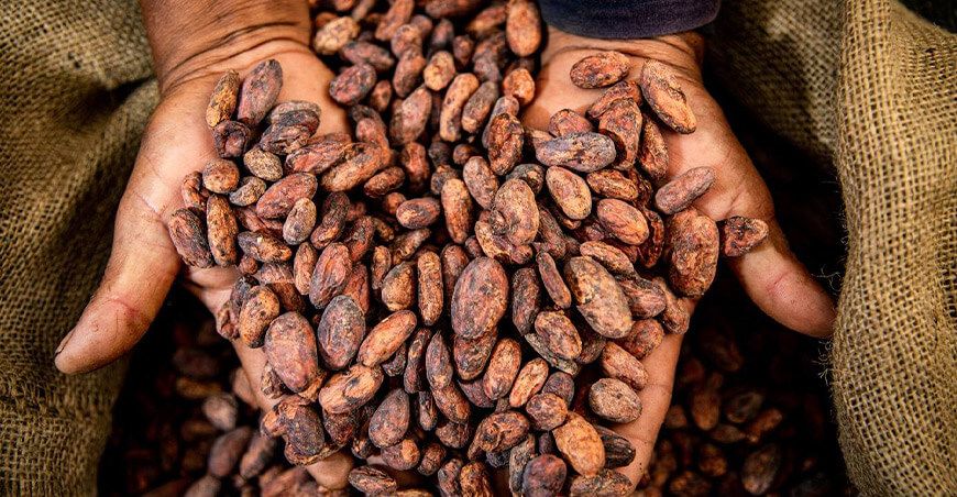 Concurso Regional de Cacao de Calidad Vraem