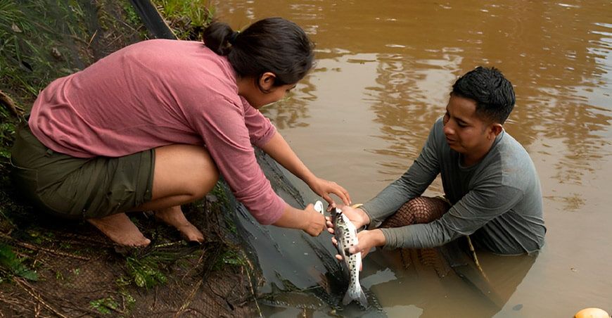 IIAP entrega alevinos paco Madre de Dios Perú
