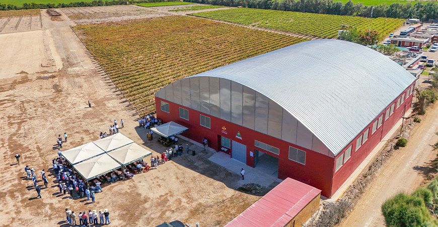 Productores vitivinícolas de Caylloma mejorarán su producción con moderna planta de transformación Arequipa Perú