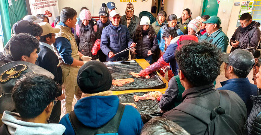Capacitan a productores en mejoramiento genético de ganado vacuno Junín INIA Perú 