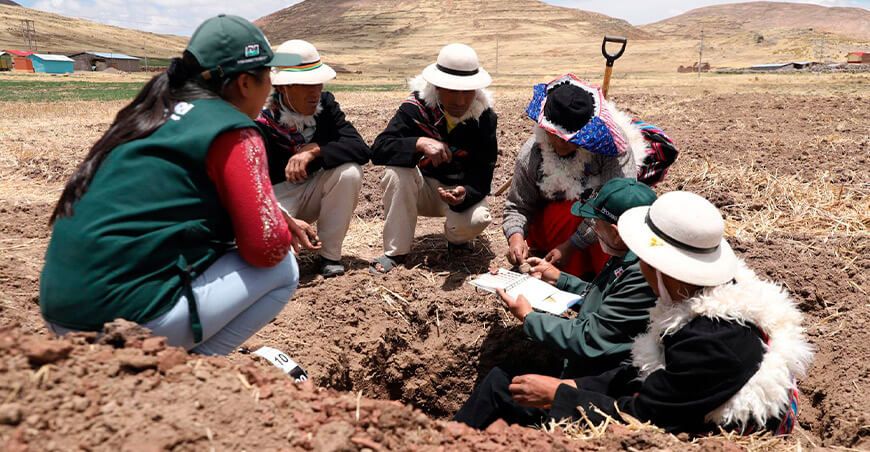 INIA Perú transfiere tecnologías agrarias productores Puno