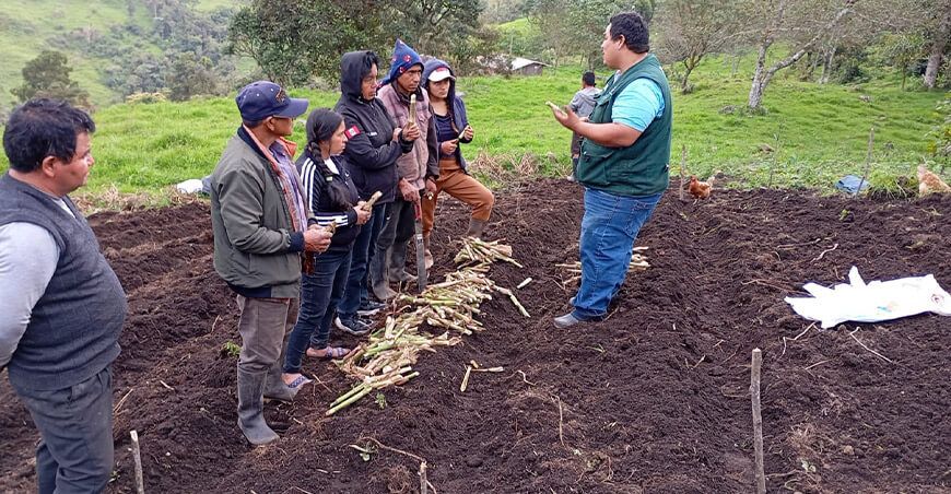 INIA promueve tecnologías orgánicas para elevar la calidad de suelos agrarios en Jaén en Cajamarca
