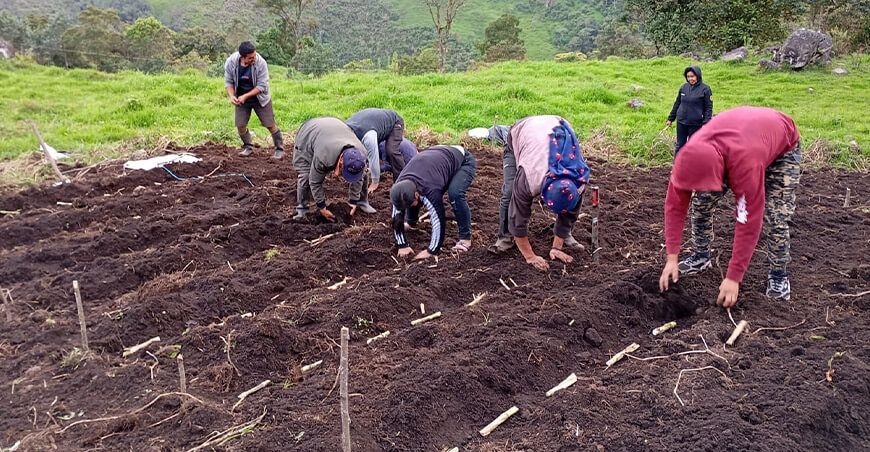 INIA promueve tecnologías orgánicas para elevar la calidad de suelos agrarios en Jaén Cajamarca