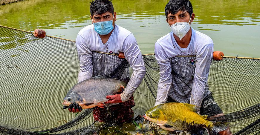 charlas y capacitaciones tecnológicas productores acuícolas Perú ITP