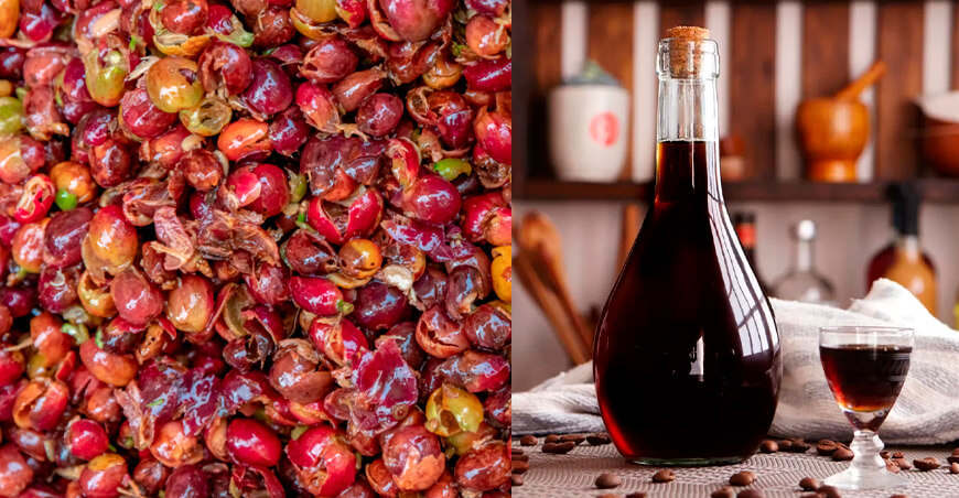 Aprende a elaborar licor artesanal con pulpa deshidratada de café ITP Perú