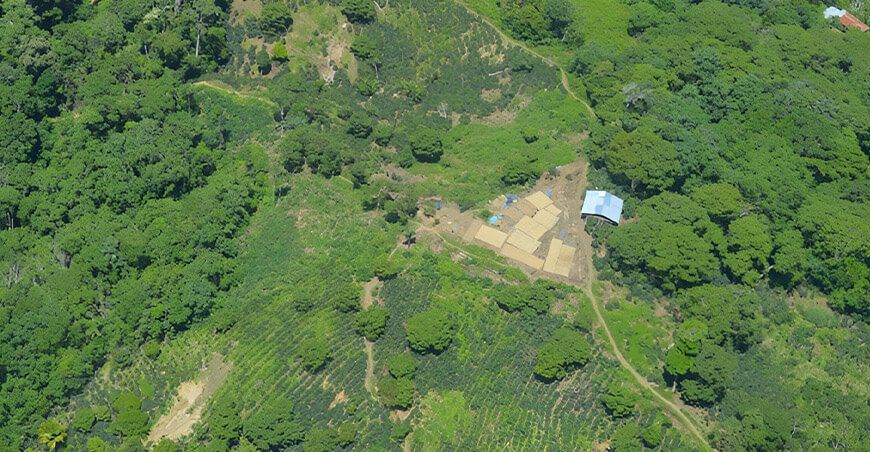 Minam utiliza información satelital de diversas fuentes para monitorear los bosques amazónicos Perú