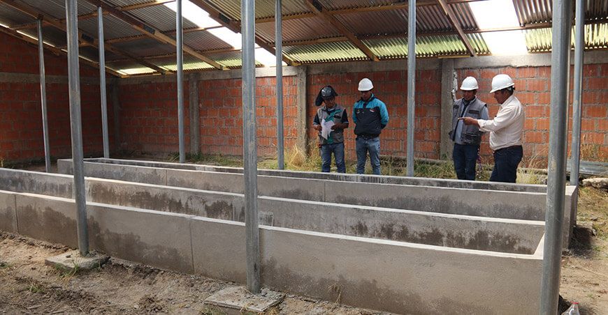 Avanza la construcción de 1622 módulos para ganado vacuno en Espinar Cusco Perú