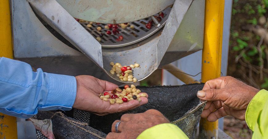 Inician entrega de módulos poscosecha de café en Pichari Cusco Perú