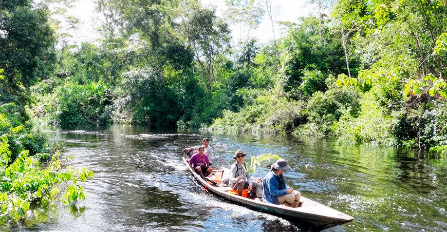 Descubren nuevas especies de flora y fauna en los bosques inundables del Abanico del Pastaza Loreto Perú