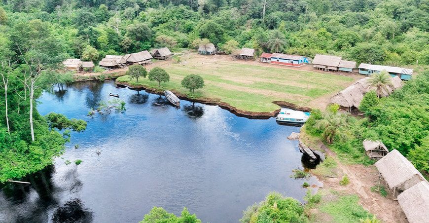 Descubren nuevas especies de flora y fauna en los bosques inundables del Abanico del Pastaza Loreto Perú