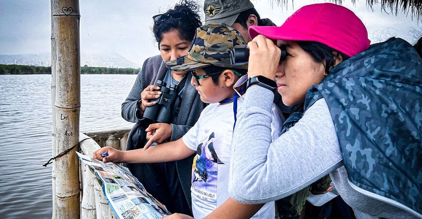 Global Big Day El Humedal Pantanos de Villa Lima Perú
